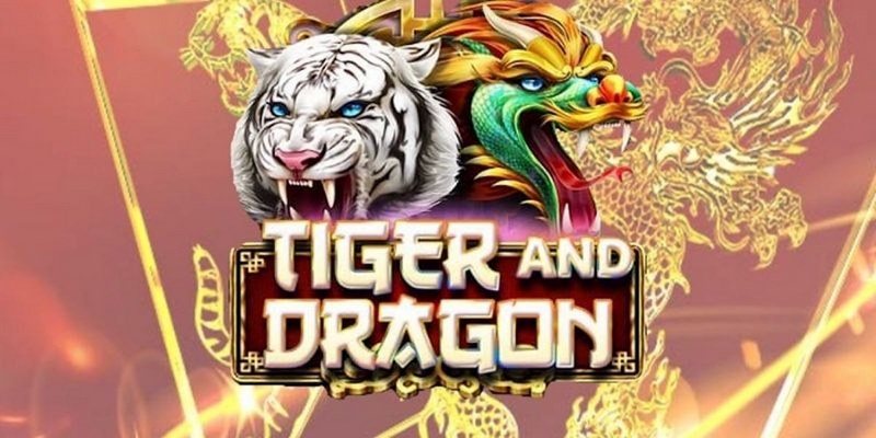 huong dan 4 buoc cuoc dragon tiger tai cong game sanclub Hướng dẫn 4 bước cược Dragon Tiger tại cổng game Sanclub